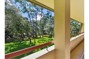 36750 US 19 N #24-213, PALM HARBOR, FL 34684 - MLS#MFRTB8391005