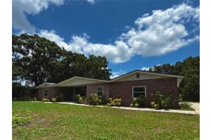 3419 PEARSON ROAD, VALRICO, FL 33596 - MLS#MFRTB8391009