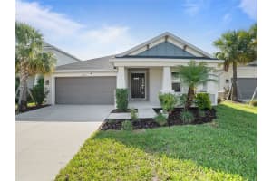 10464 Tranquil Meadow Loop, RIVERVIEW