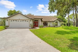 206 Forest Wood Ct, SPRING HILL
