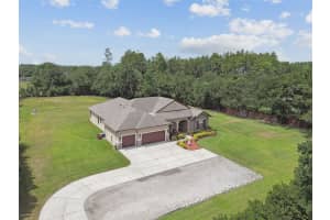 4608 SCOTT ROAD, LUTZ, FL 33558 Sold 07/07/25