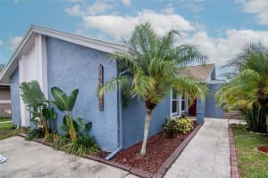 10325 PARKCREST DRIVE, TAMPA, FL 33624 Sold 07/30/25