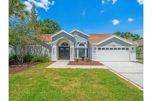 14103 Stonebrook Ct, TAMPA