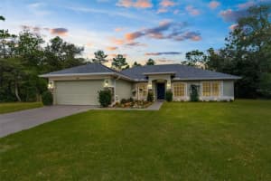 10197 Meadow Wren Ave, WEEKI WACHEE