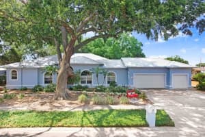613 Sportsman Park Dr, SEFFNER