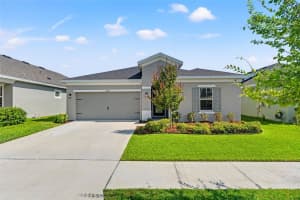 6123 GOLDEN NETTLE DRIVE, APOLLO BEACH, FL 33572 Sold 06/30/25