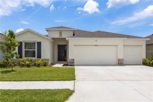 33700 HAMILTON HILL LANE, WESLEY CHAPEL, FL 33545 - MLS#MFRTB8391124