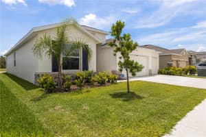 33700 HAMILTON HILL LANE, WESLEY CHAPEL, FL 33545 - MLS#MFRTB8391124