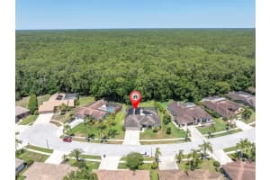 4049 WELLINGTON PARKWAY, PALM HARBOR, FL 34685 Sold 08/14/25