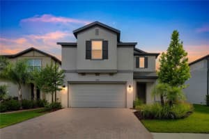 19238 Old Spanish Rd, TAMPA