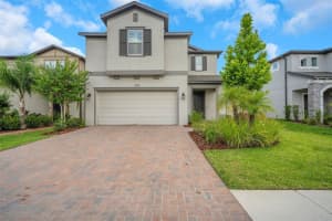 19238 OLD SPANISH ROAD, TAMPA, FL 33647 - MLS#MFRTB8391154