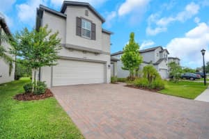19238 OLD SPANISH ROAD, TAMPA, FL 33647 - MLS#MFRTB8391154
