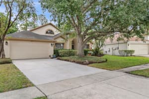 18017 Palm Breeze Dr, TAMPA