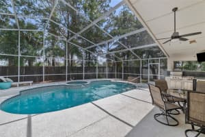 18017 PALM BREEZE DRIVE, TAMPA, FL 33647 - MLS#MFRTB8391168