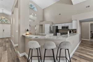 18017 PALM BREEZE DRIVE, TAMPA, FL 33647 - MLS#MFRTB8391168