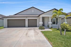 146 RAIN BERRY AVENUE, RUSKIN, FL 33570 - MLS#MFRTB8391169