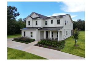 2890 ALEXANDRIA MARIE LANE, LUTZ, FL 33559 - MLS#MFRTB8391214