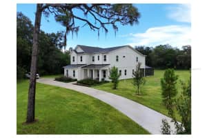 2890 ALEXANDRIA MARIE LANE, LUTZ, FL 33559 - MLS#MFRTB8391214