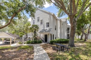 3301 Haviland Ct #203, PALM HARBOR