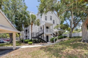 3301 HAVILAND CT #203, PALM HARBOR, FL 34684 - MLS#MFRTB8391218