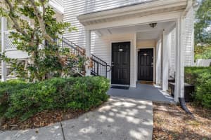 3301 HAVILAND CT #203, PALM HARBOR, FL 34684 - MLS#MFRTB8391218