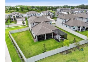 33287 SYCAMORE LEAF DRIVE, WESLEY CHAPEL, FL 33545 - MLS#MFRTB8391233