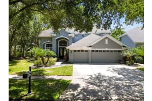 11723 GOTHIC LANE, TAMPA, FL 33626 Sold 07/14/25