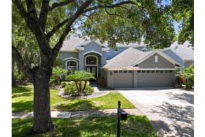11723 GOTHIC LANE, TAMPA, FL 33626 Sold 07/14/25
