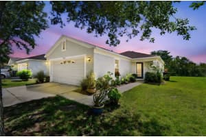 12716 Evington Point Dr, RIVERVIEW