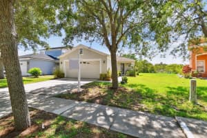 12716 EVINGTON POINT DRIVE, RIVERVIEW, FL 33579 - MLS#MFRTB8391248