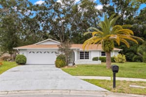 2956 SUTHERLAND COURT, PALM HARBOR, FL 34684 Sold 08/01/25