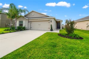 10512 Fuzzy Cattail St, RIVERVIEW