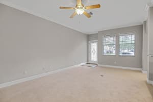 16137 CHURCHVIEW DRIVE, LITHIA, FL 33547 - MLS#MFRTB8391353