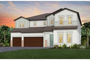 6934 Reliance Run, WESLEY CHAPEL
