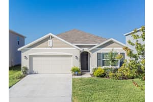 33488 Elm Hill Br, WESLEY CHAPEL