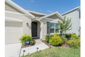 33488 ELM HILL BRANCH, WESLEY CHAPEL, FL 33545 - MLS#MFRTB8391391