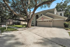 709 GRAND CANYON DRIVE, VALRICO, FL 33594 Sold 08/15/25