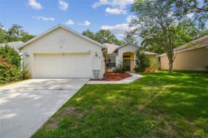6918 POTOMAC CIRCLE, RIVERVIEW, FL 33578 Sold 08/25/25