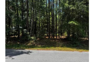 SW 202ND CT, DUNNELLON, FL 34431 Sold 07/01/25