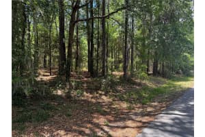 SW 202ND CT, DUNNELLON, FL 34431 Sold 07/01/25