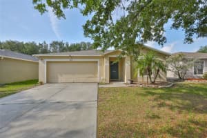 13750 FAREHAM ROAD, ODESSA, FL 33556 Sold 07/11/25