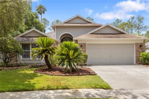 9047 QUAIL CREEK DRIVE, TAMPA, FL 33647 - MLS#MFRTB8391662