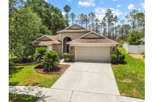 9047 QUAIL CREEK DRIVE, TAMPA, FL 33647 - MLS#MFRTB8391662