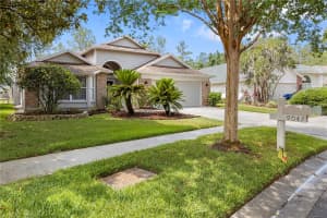 9047 QUAIL CREEK DRIVE, TAMPA, FL 33647 - MLS#MFRTB8391662