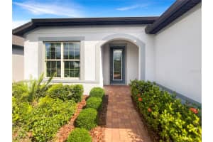 19664 SHIP WHEEL WAY, LAND O LAKES, FL 34638 - MLS#MFRTB8391674