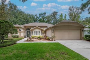 3821 Turkey Oak Dr, VALRICO