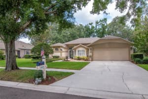3821 TURKEY OAK DR, VALRICO, FL 33596 - MLS#MFRTB8391722