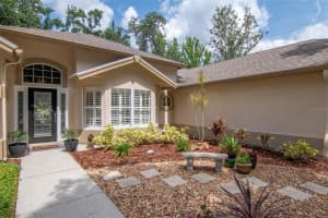 3821 TURKEY OAK DR, VALRICO, FL 33596 - MLS#MFRTB8391722