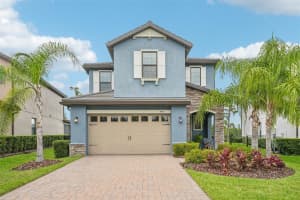 19191 PEASE PLACE, LUTZ, FL 33558 - MLS#MFRTB8391793