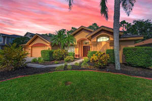 4133 AUSTON WAY, PALM HARBOR, FL 34685 - MLS#MFRTB8391799